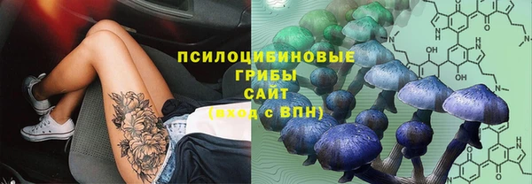 кокаин колумбия Алексин