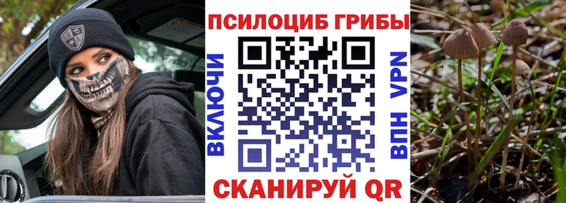 Галлюциногенные грибы прущие грибы  Кизляр 