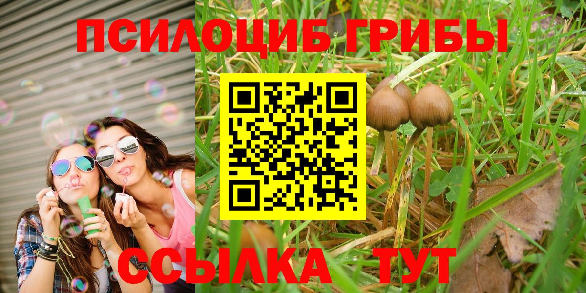 Галлюциногенные грибы мухоморы Кизляр