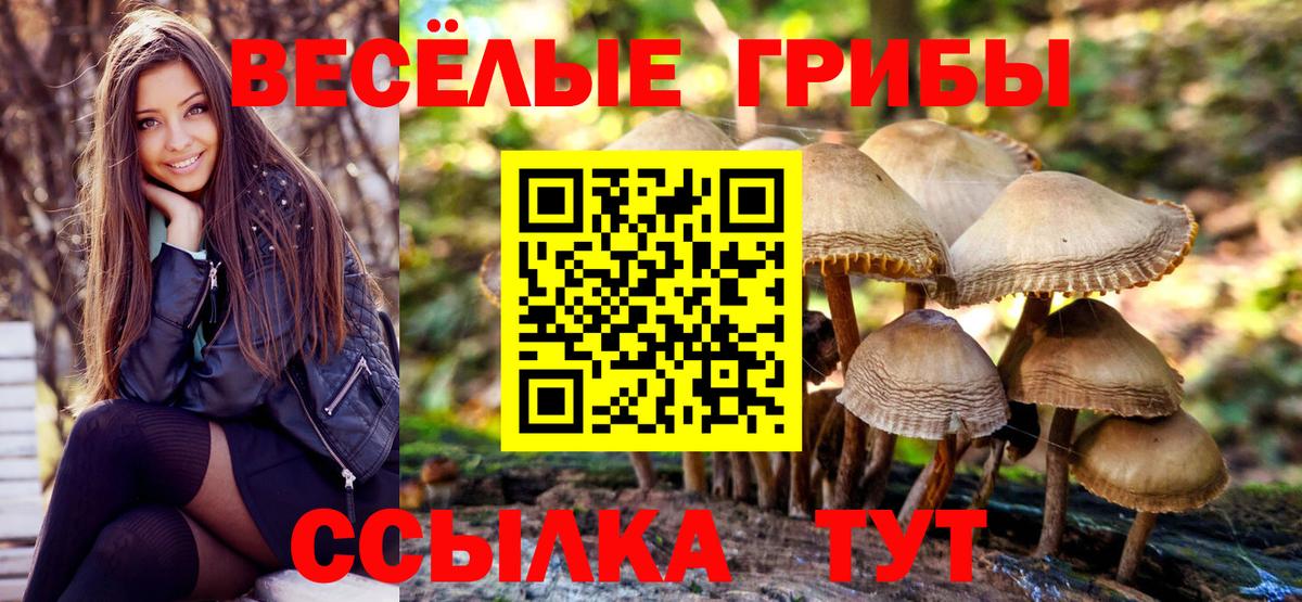 Псилоцибиновые грибы Magic Shrooms  Псилоцибиновые грибы Cubensis  Вход с VPN  Кизляр 